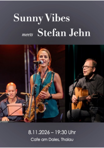 sunnyvibes stefan jehn plakat